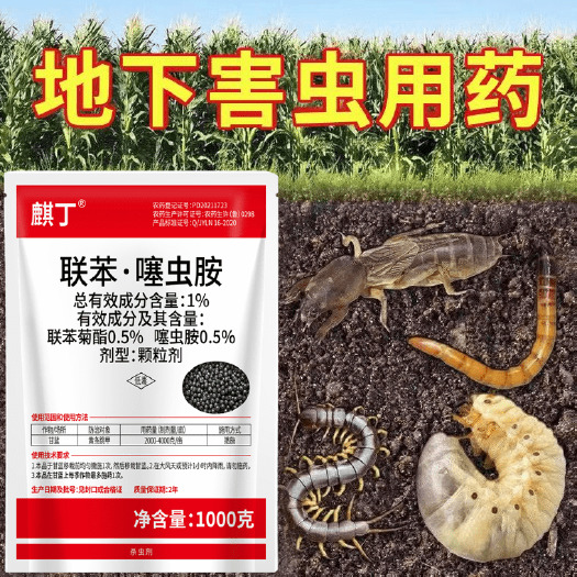 潍坊1%联苯噻虫胺地上地下害虫全杀黄条跳甲地老虎蝼蛄害虫专用杀虫