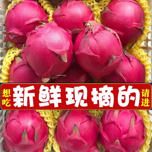 南宁红心火龙果新鲜应季时令水果超甜金都一号