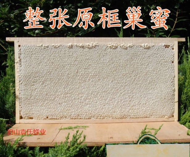 合肥蜂巢蜜 2025年新巢蜜 山花巢蜜 封盖率百分之98