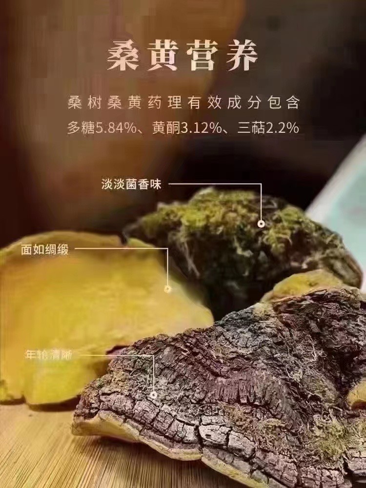 桑黄一手货源产地直发现货秒发可一件代发包邮