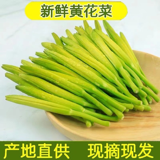 蒙阴县新鲜黄花菜现摘现发新鲜金针菜野生忘忧草当季时令蔬菜凉拌鲜野菜