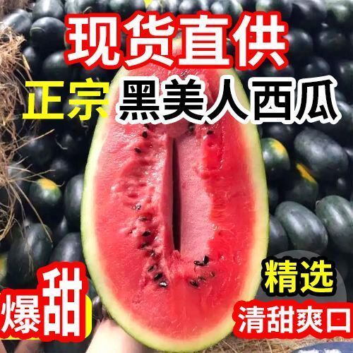 昆明越南黑美人西瓜供应电商包邮包售后支持一件代发货全国包邮