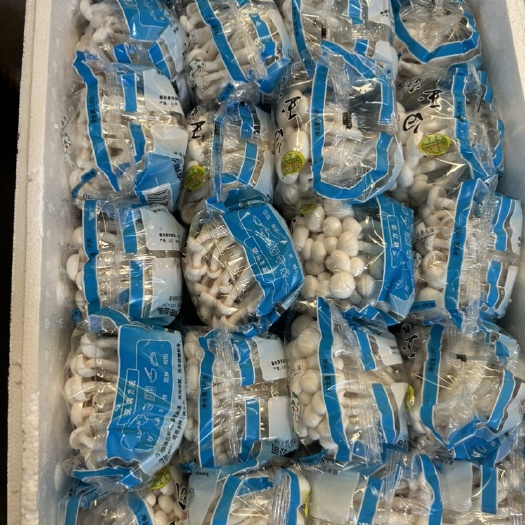 白玉125g48盒