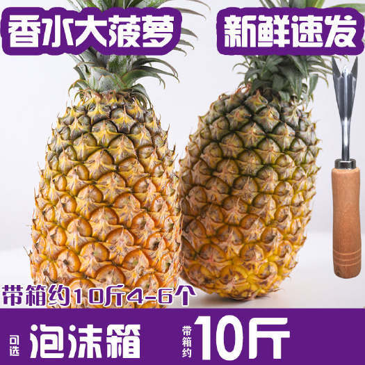 深圳9斤新鲜大菠萝水果香水菠萝手撕凤梨徐闻大菠萝脆爽香甜云南菠萝