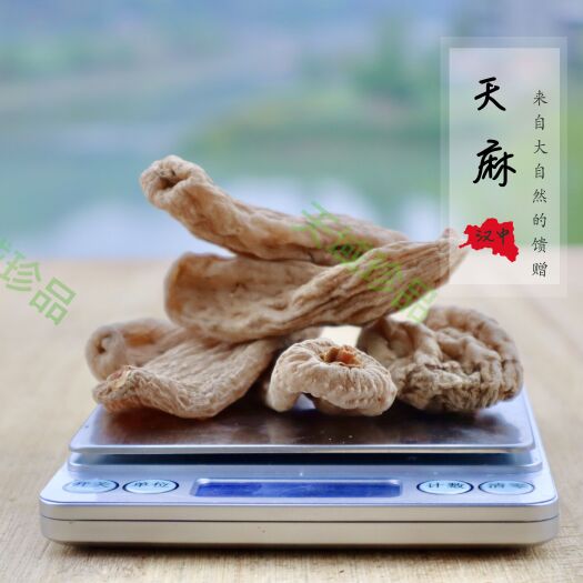 宁强县天麻干货 原色无硫不酸 可磨粉