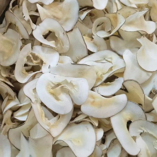 广州无硫海底椰片《奶香味十足》大量现货大量批发，全国当天发出