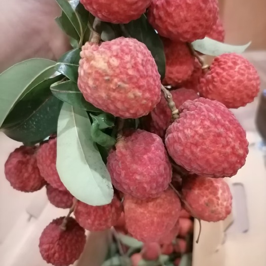 新鲜，甜