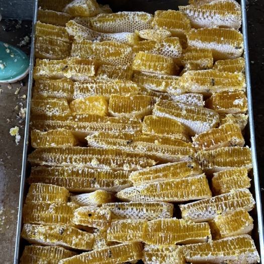 玉溪蜂巢蜜