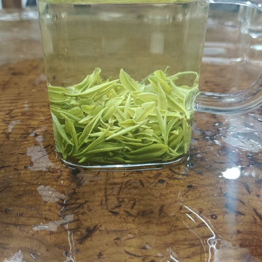都匀市2023明前一芽一叶芽叶完整嫩绿青香都匀毛尖碧螺春蒙顶甘露
