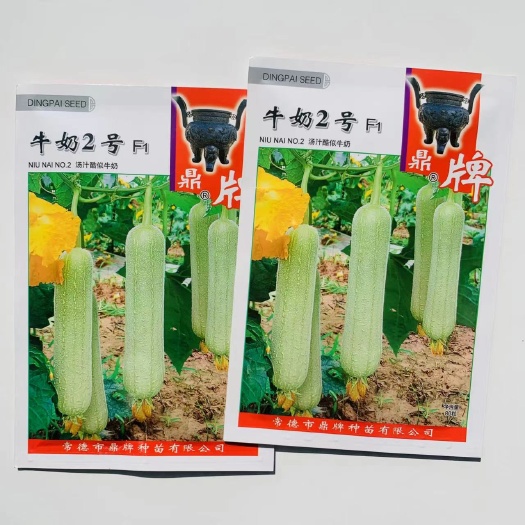 沭阳县丝瓜种子牛奶2号丝瓜种子短棒型耐老化口感特别嫩滑汤汁乳白浓稠