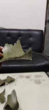 朔州菜籽饼饲料