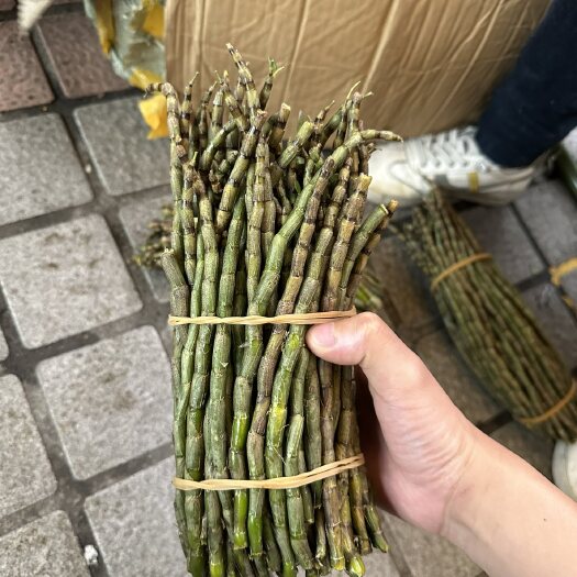 广州鲜石斛