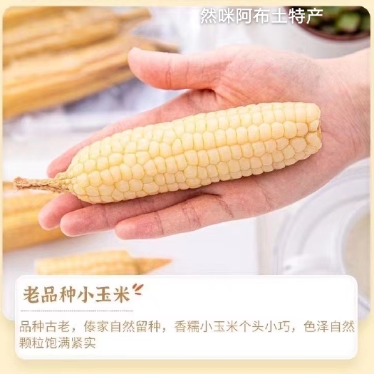 勐海县云南西双版纳小拇指玉米，甜糯爽口，礼盒装2斤一提