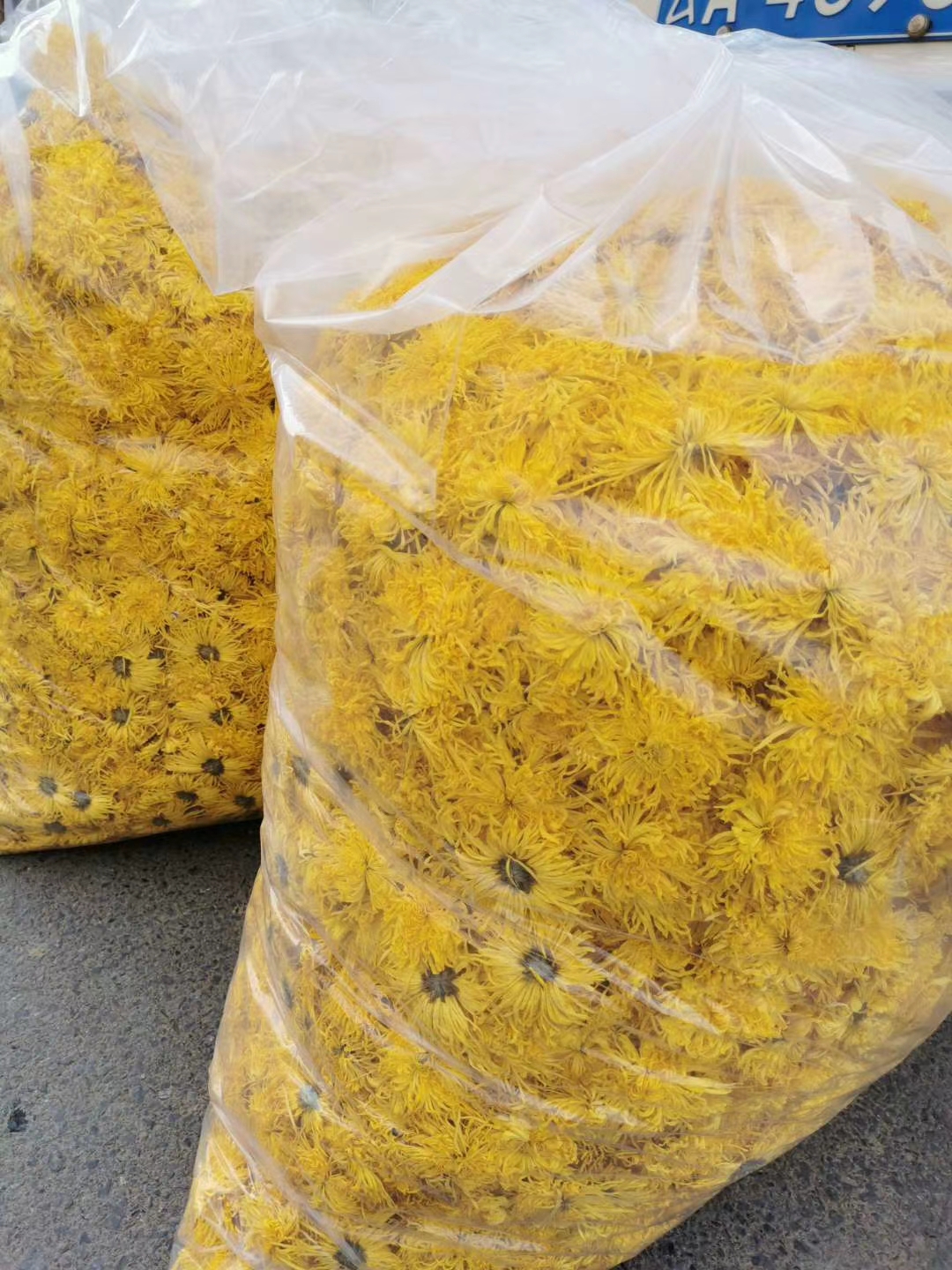金丝皇菊菊花茶干菊花