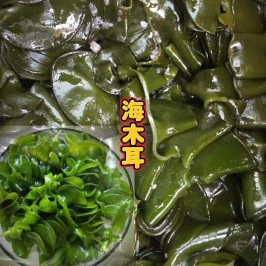 海木耳 海灵芝 烘干海木耳 裙带菜海木耳 养殖场直供货