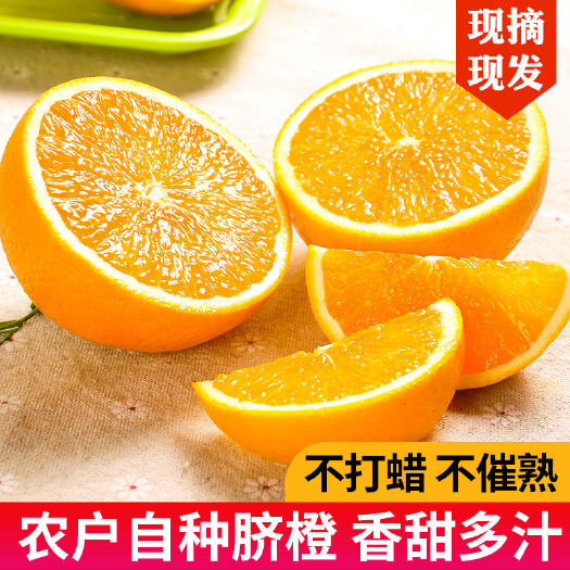 秭归县伦晚秭归