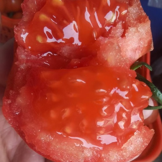 潍坊普罗旺斯西红柿