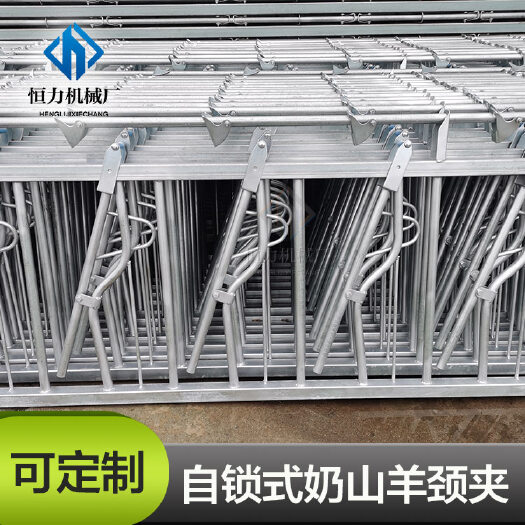 荥阳市养殖设备防疫用自锁式羊颈夹 热镀锌羊颈枷采食夹