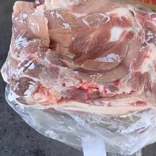 临沂前上肉 后上肉