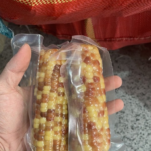 景洪市￼新鲜西双版纳花糯玉米代发批发量大可以谈