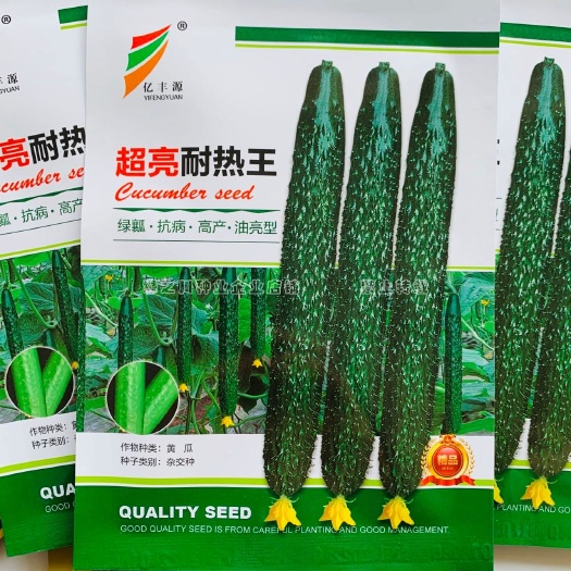 沭阳县绿瓤超亮耐热王黄瓜种子 抗热油亮型黄瓜种籽春夏秋青瓜种子绿肉