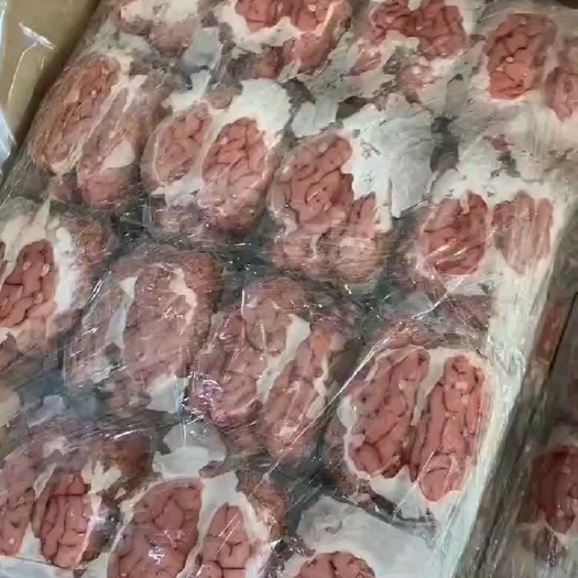 河间市羔羊羊脑