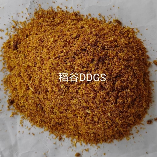 正定县玉米酒糟DDGS诚信经营全国发货