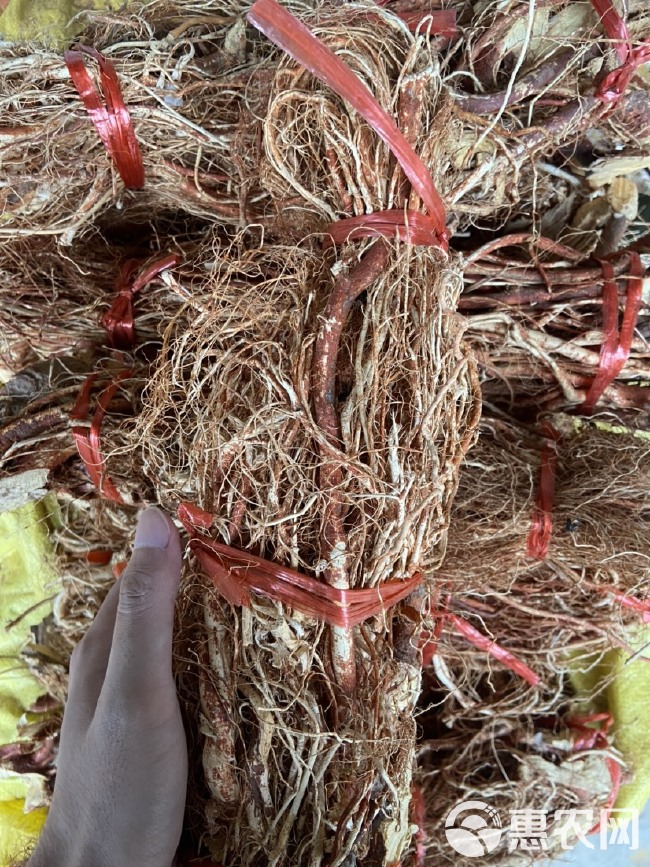 五指毛桃干货，味道香浓奶香十足，大量货