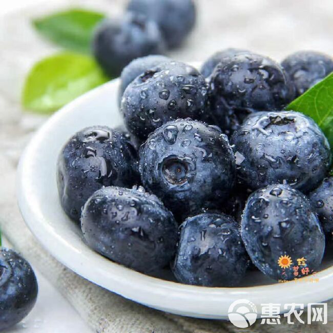 优瑞卡蓝莓[顺丰包邮] 云南蓝莓鲜果甜蓝莓大果同城当季新果