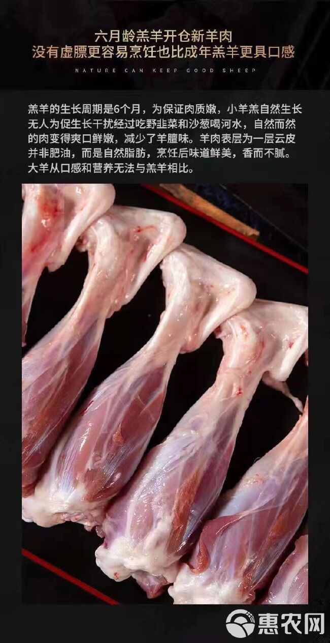 新鲜羔羊小腿羊后腿羊腿肉带骨羊棒骨羊腱子肉一整箱