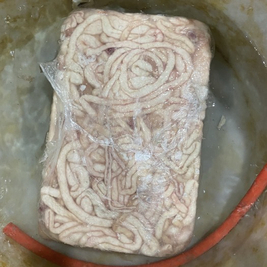羊肠新鲜直发禽畜肉蛋类羊副产品