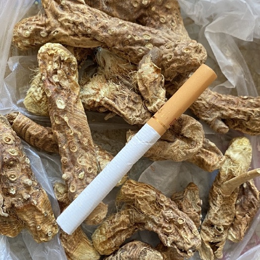 蔚县知母 含量达标 泻火 滋阴润燥 除邪气 补不足