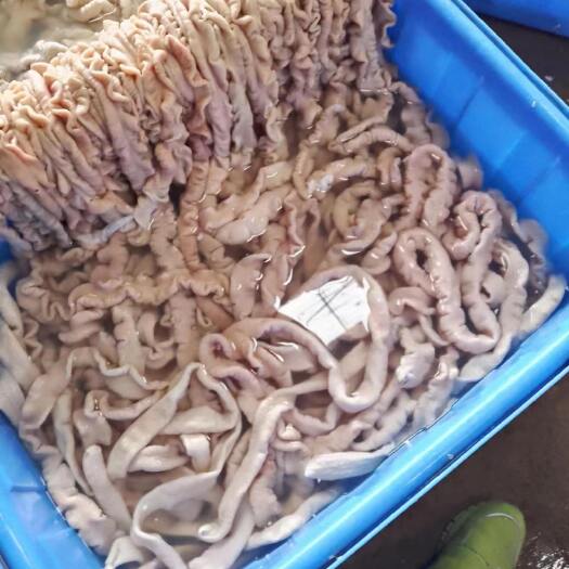 融水县清水预煮新鲜大肠，去油90%