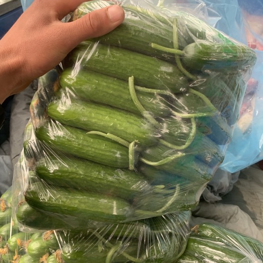 小黄瓜