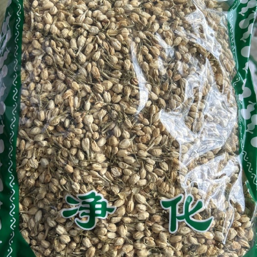 安国市中药材茉莉花无硫产地直销包邮
