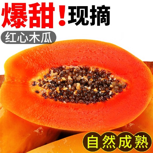 长沙现摘现发 广西红心牛奶木瓜冰糖心青皮木瓜自然熟包邮