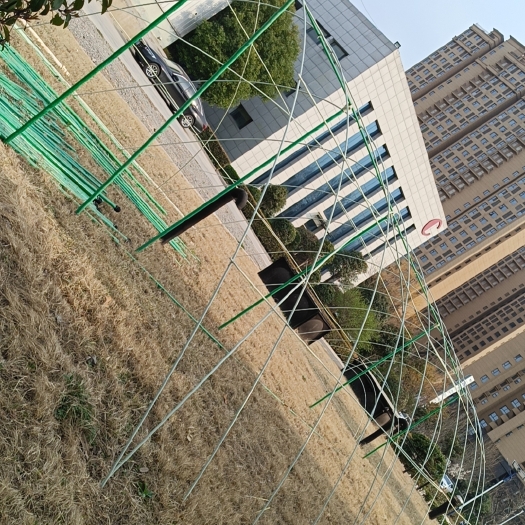 荥阳市12mm拱棚支架高弹力拱棚大小支架菜棚保温棚花棚玻纤杆农用拱