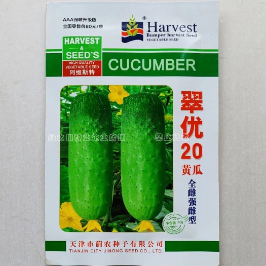 沭阳县强雌升级版翠优20水果黄瓜种子生吃甜脆高产 节节瓜黄瓜种籽