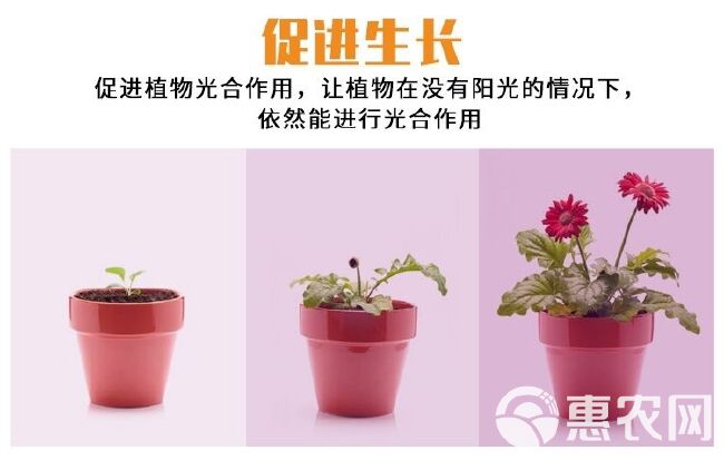 全光谱植物补光灯灯