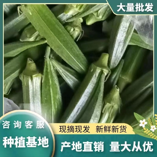 水果秋葵精品水果秋葵黑玉秋葵