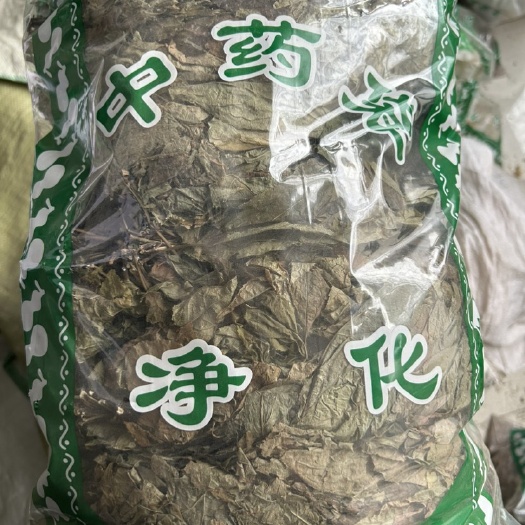 中药材人参叶无硫产地直销包邮