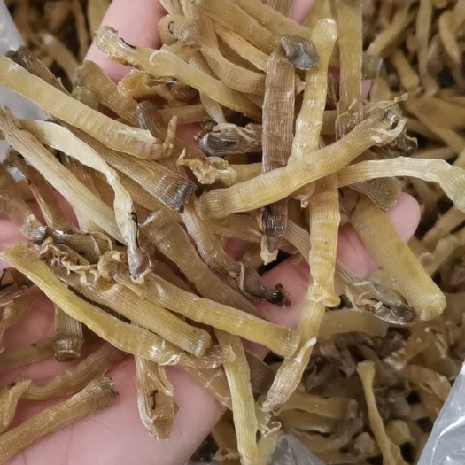 沙虫干
