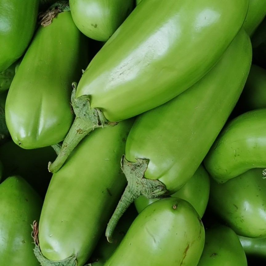 ҰҰ