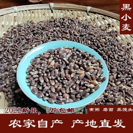 汝州市2022农家自种黑麦粒杂粮粗粮煮粥磨面打米糊