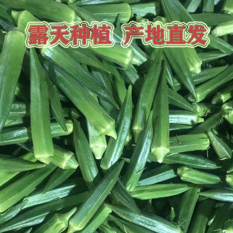 ɽءˮ߲5-3ũ