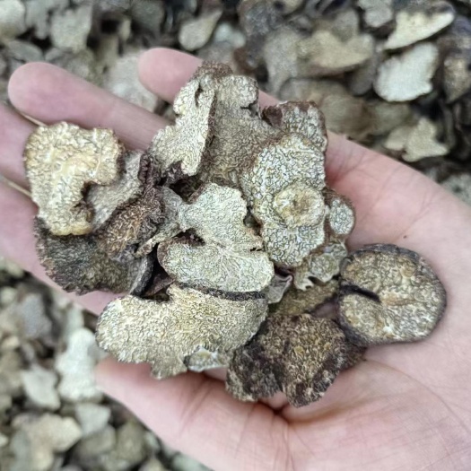 松露干片黑片茶片