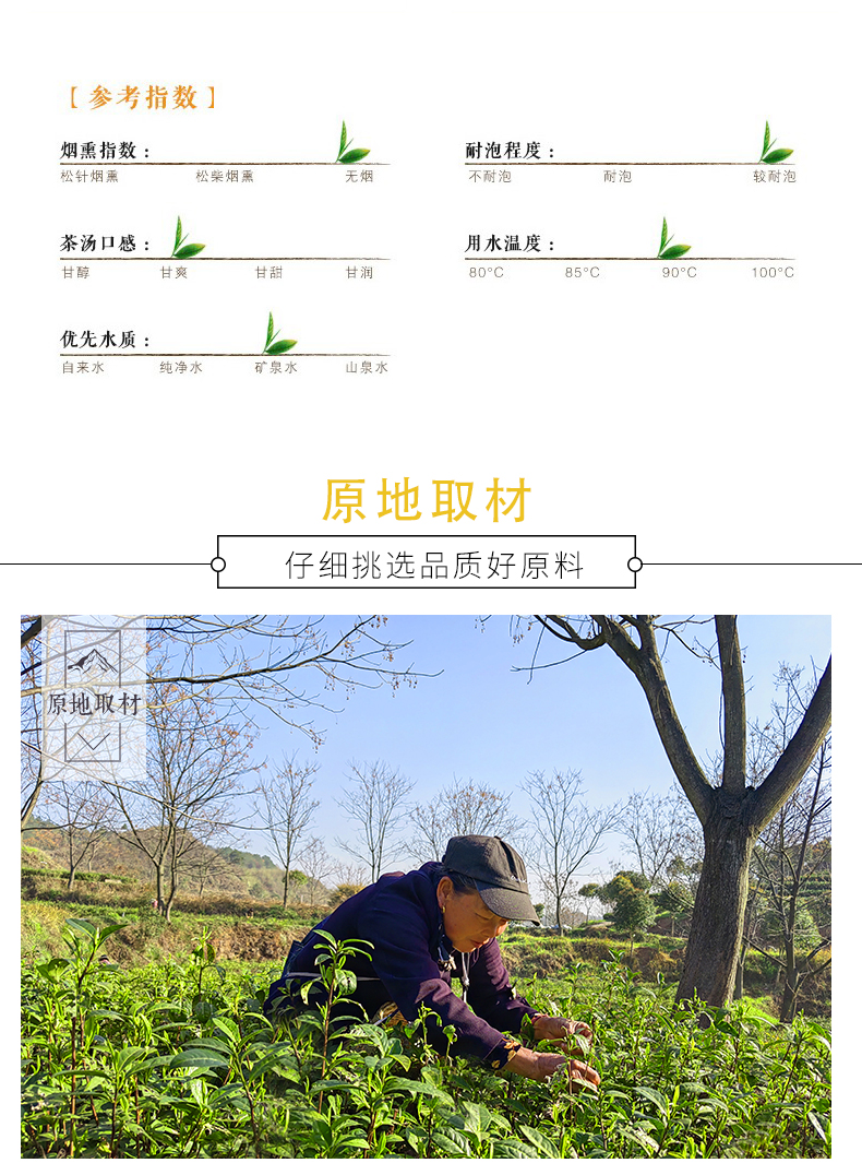 沅陵碣滩茶2023新茶 明前春茶 特级茶叶 礼盒装200g