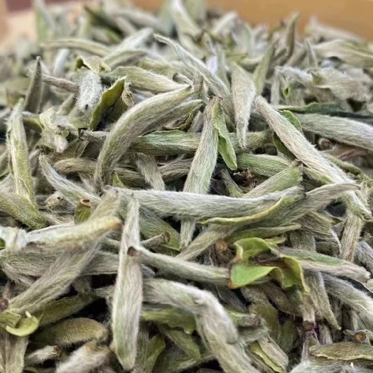 安溪县白毫银针白茶里的毫福鼎白茶中高端