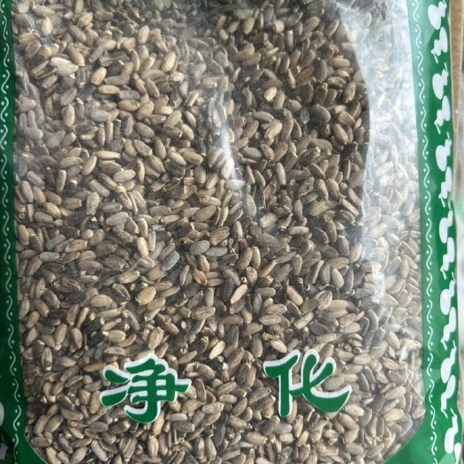 中药材水飞蓟无硫产地直销包邮