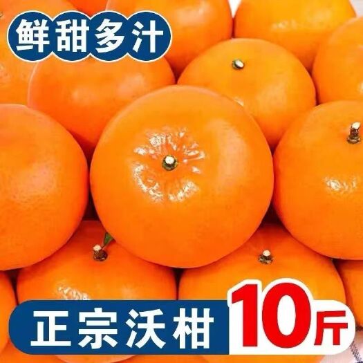 深圳【超甜】广西武鸣沃柑当季新鲜水果薄皮桔子贵妃橘9斤批